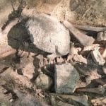 Los «muertos vivientes» y el temor a Fenrir