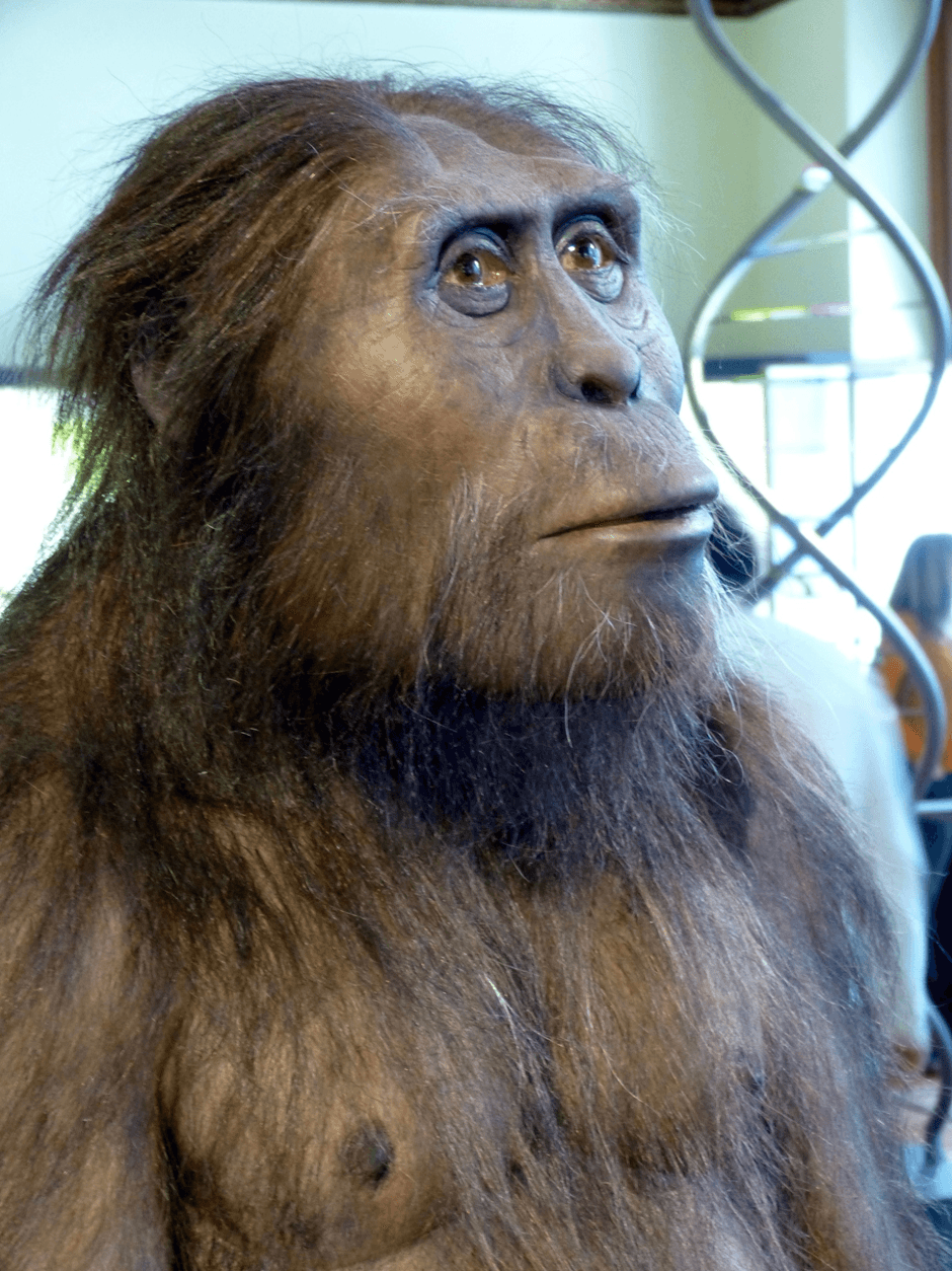 Impresionante descubrimiento de fósiles en Etiopía reescribe el origen de la humanidad